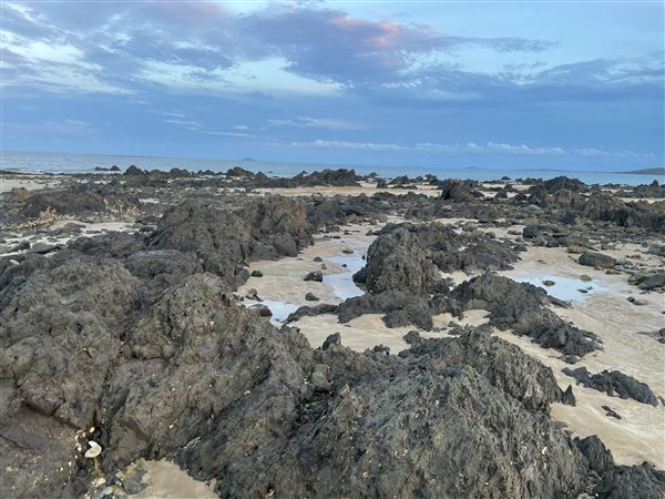 Campwin Beach (South) (26/10/2021 - Credits: Kathryn Metcalfe)