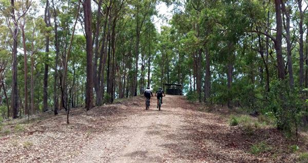 Camp Mountain Lookout (20/07/2022 - Credits: www.visitmoretonbayregion.com.au)