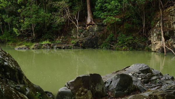 Currumbin Rock Pools (8/07/2019)