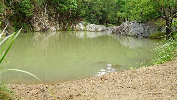 Currumbin Rock Pools (8/07/2019)