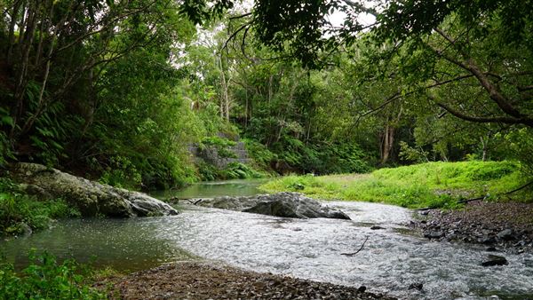 Currumbin Rock Pools (8/07/2019)