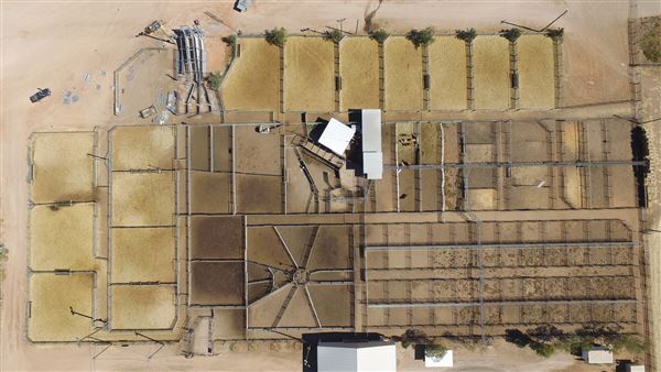 Winton Sale Yards (13/12/2022 - Credits: Winton Shire Council)