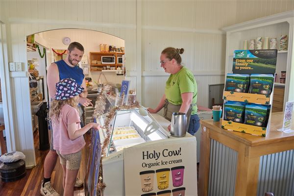 Mungalli Creek Bio-Dynamic Dairy (4/02/2023 - Credits: John de Rooy, Atherton Tableland Photography)