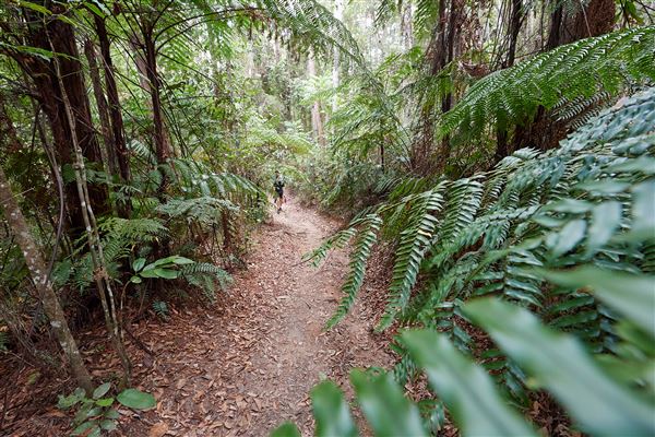 Windin Falls (5/09/2022 - Credits: John de Rooy, Atherton Tableland Photography)