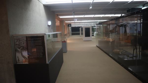 Queensland Museum - Interior (5/12/2022 - Credits: Brendan O'Sullivan)