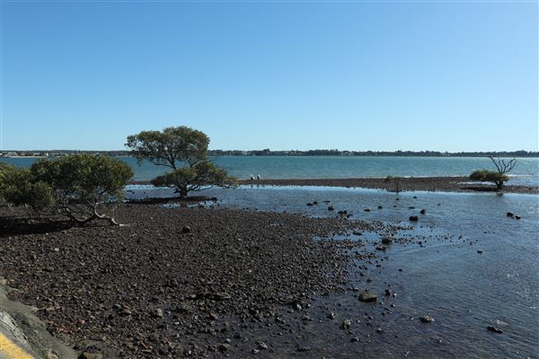 Cleveland Point (8/05/2023 - Credits: Screen Queensland)