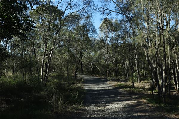 Epapah Creek - Karl's Pier track (8/05/2023 - Credits: Screen Queensland)