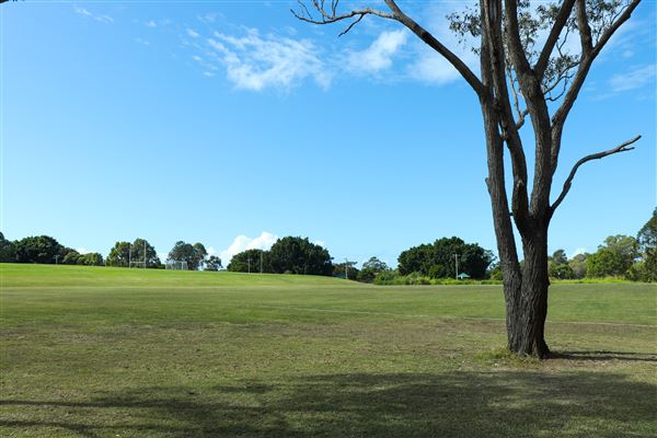 Curlew Park - Cabbage Tree Creek (11/05/2023 - Credits: Screen Queensland)