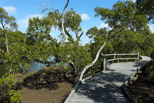 Nudgee Beach Wetlands Reserve (11/05/2023 - Credits: Screen Queensland)