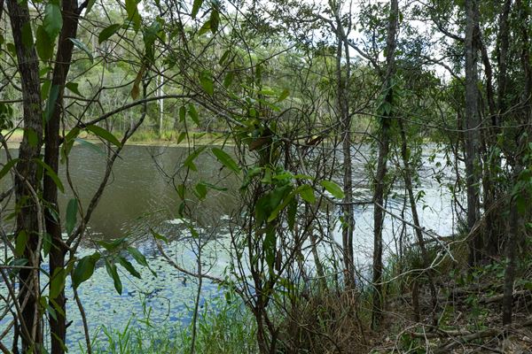 Enoggera Reservoir (12/05/2023 - Credits: Screen Queensland)