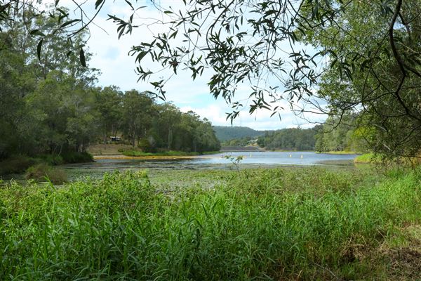 Enoggera Reservoir (12/05/2023 - Credits: Screen Queensland)