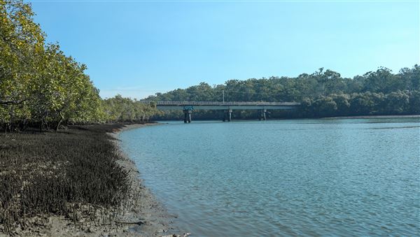 Tingalpa Creek (31/05/2023 - Credits: Screen Queensland)