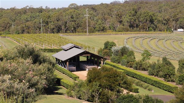 Sirromet Winery - Photographs provided by Sirromet Winery (12/06/2023 - Credits: Sirromet Winery)