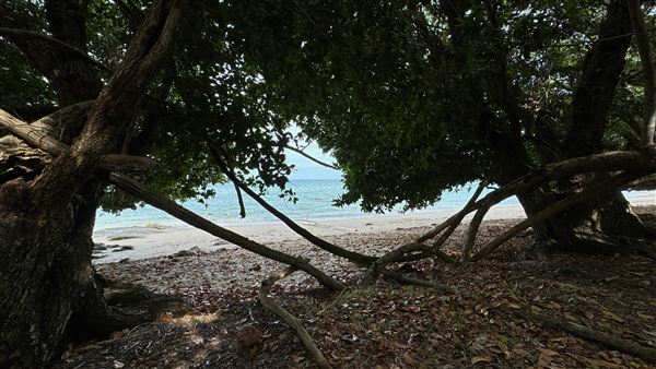 Garners Beach (26/11/2023 - Credits: Karen Jones / Tom Hoffie)