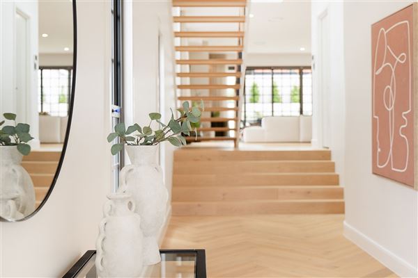 49 Perth Street (7/05/2026 - Credits: submitted by: Niamh Whiley)