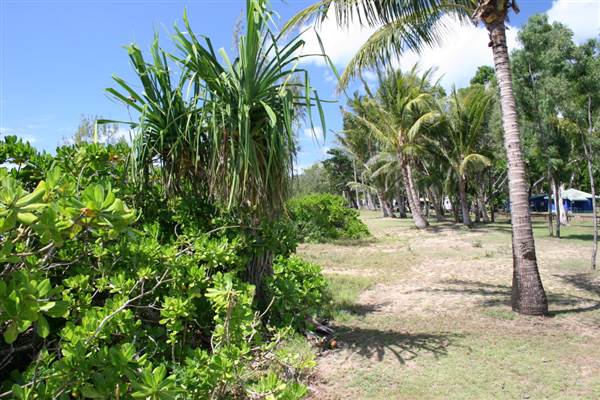 Cairns Region - Bramston Beach (24/07/2012)