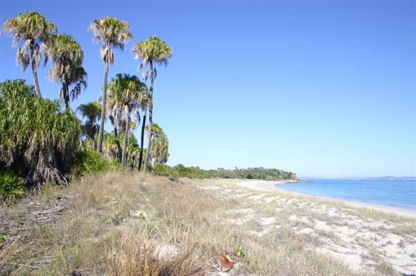 North Keppel Island -  Ko-no-mie - Considine Beach (18/09/2006)