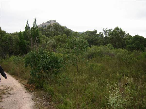 Warwick Region - Girraween National Park (25/09/2006)