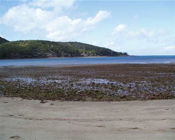 Hamilton Island - Coral Cove (18/11/2005)