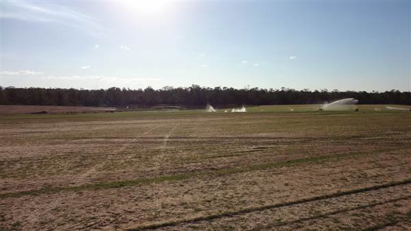 Jimboomba Turf Farm (29/08/2013)