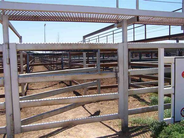 Longreach Township (26/09/2005)