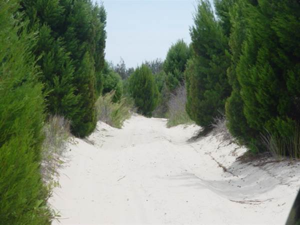 Mulgumpin (Moreton Island) (14/05/2009)