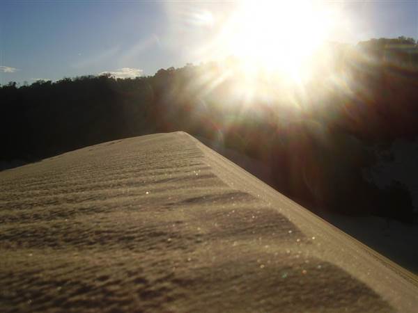 Mulgumpin (Moreton Island) (14/05/2009)