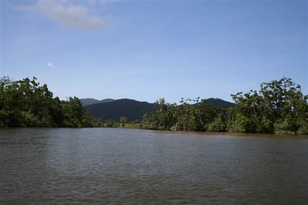 Mulgrave River (Cairns Region) (25/09/2007)