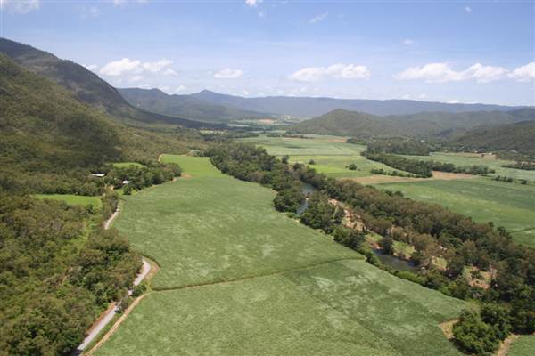 Mulgrave River (Cairns Region) (25/09/2007)