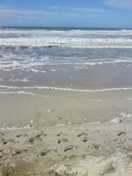 Oceanside Park - Narrowneck Beach (26/08/2009)