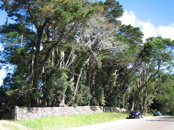Mt Glorious (11/05/2006)