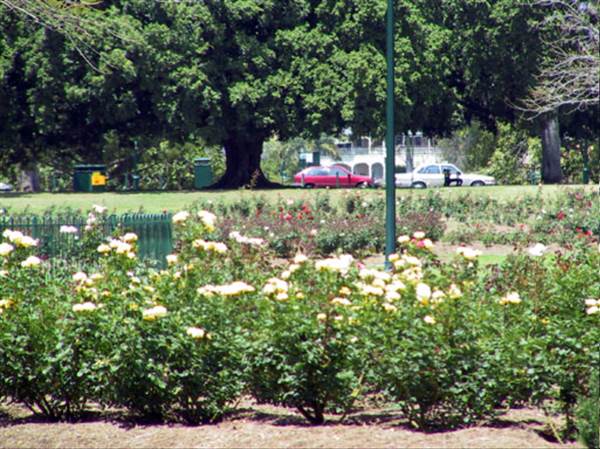 New Farm Park (12/11/2013)