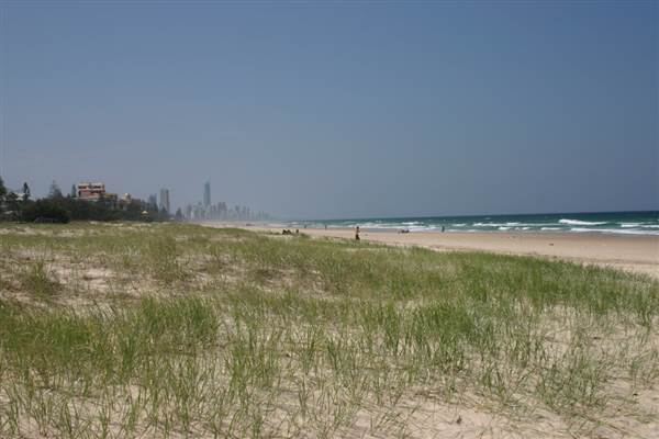 Nobby Beach and Headland (14/12/2007)