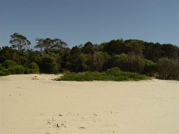 Noosa North Shore (17/01/2008)