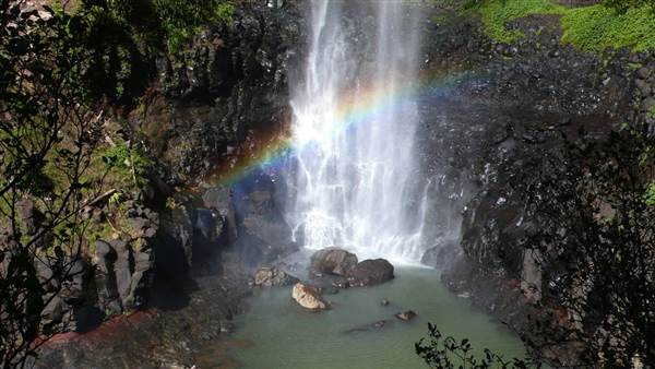 Purling Brook Falls - Springbrook National Park (27/07/2009)