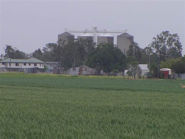 Wheat Fields (8/01/2008)