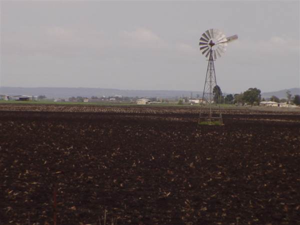Wheat Fields (8/01/2008)