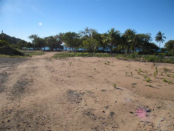 Radical Bay (Magnetic Island) (12/10/2007)
