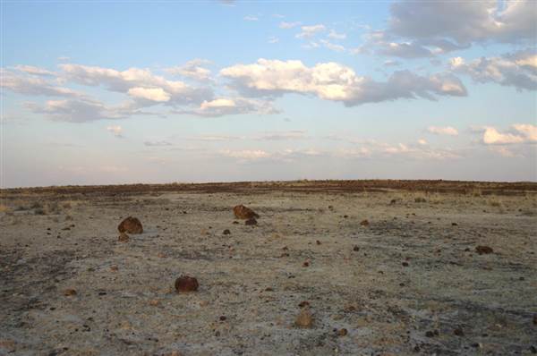 Rangelands Station (14/10/2005)