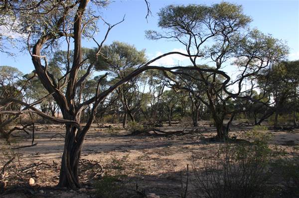 Rangelands Station (14/10/2005)