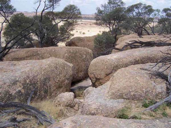 Rangelands Station (14/10/2005)