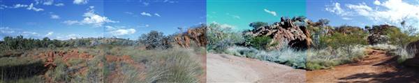 Sybella Creek (25/12/2002)