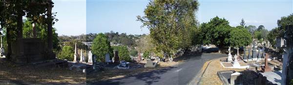Toowong Cemetery (14/02/2005)