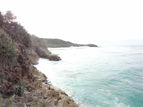 Gorge Walk, Point Lookout (3/02/2014 - Credits: Angus ledgerwood)