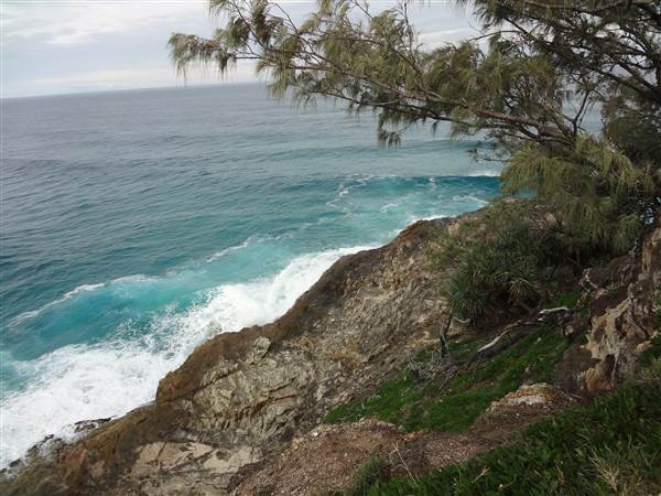 Gorge Walk, Point Lookout (3/02/2014)