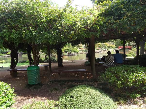 Japanese Garden - University of Southern Queensland (7/05/2014)