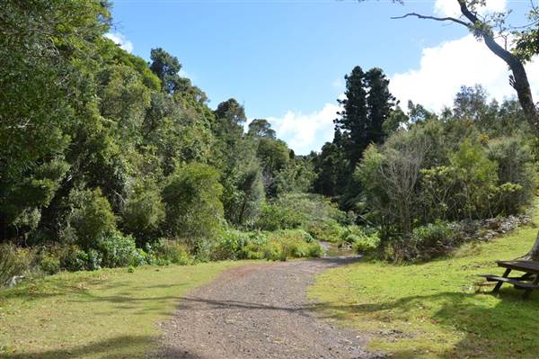 O'Reillys Rainforest Retreat (19/05/2014 - Credits: Duncan Jones)