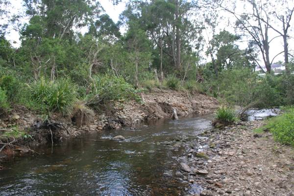 Coomera River (Upper) (21/05/2014 - Credits: Duncan Jones)