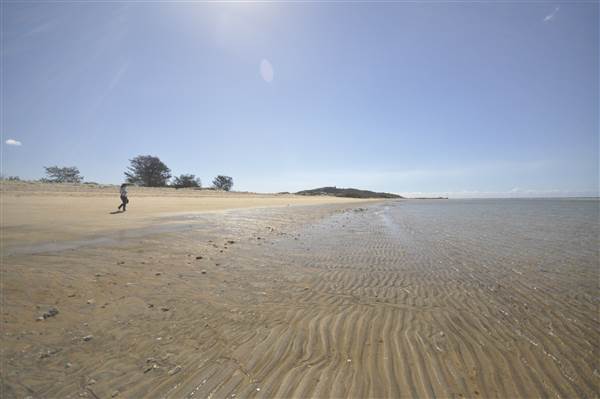 Kings Beach (Bowen) (23/07/2014 - Credits: Angus Ledgerwood)