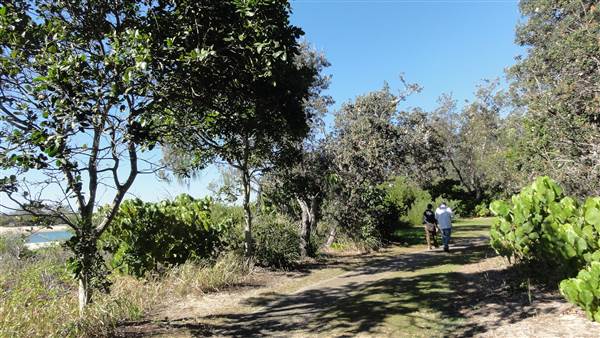 Tarrabora Reserve (28/07/2014 - Credits: Tony Brown)